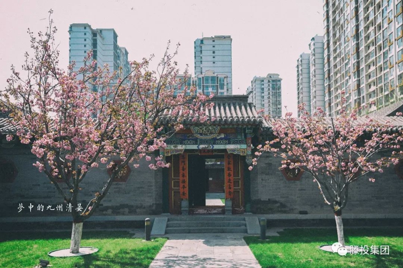 1680485628280692.jpg 6.jpg